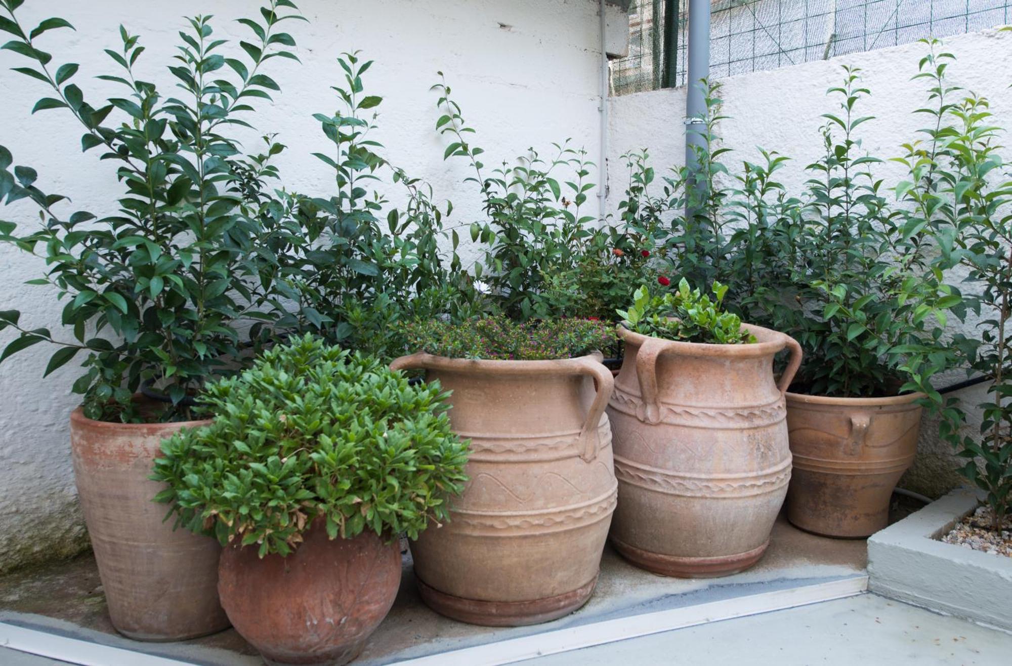 Cityscape House Chania  Zewnętrze zdjęcie